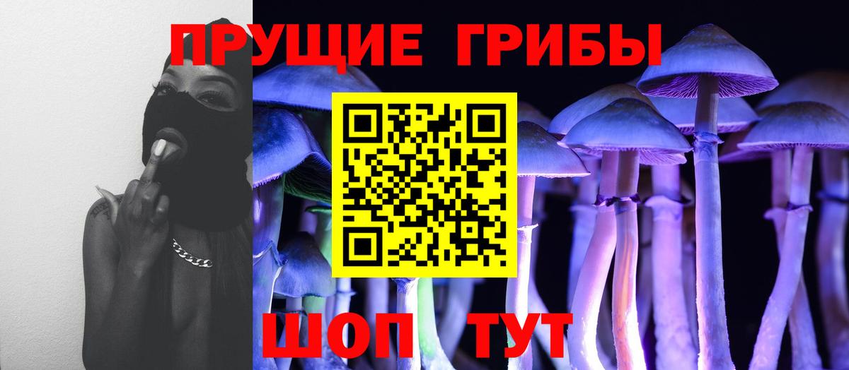 Гусев  Галлюциногенные грибы Cubensis  Вход с VPN  Псилоцибиновые грибы прущие грибы 